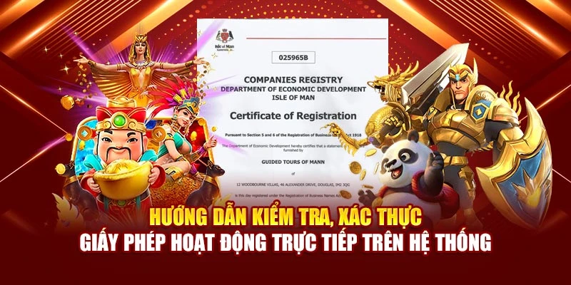 Hướng dẫn kiểm tra, xác thực giấy phép hoạt động trực tiếp trên hệ thống